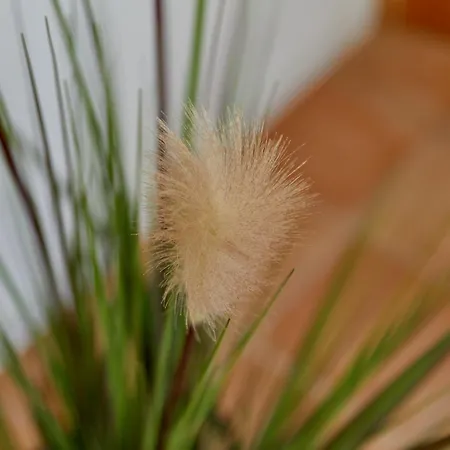 Am Gestade 2 Appartamento Bernkastel-Kues