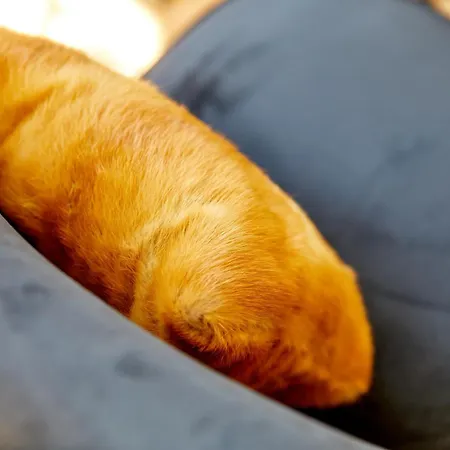 Appartamento Am Gestade 2