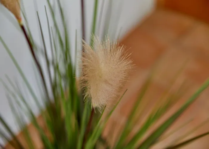 Am Gestade 2 アパート ベルンカステル・クース