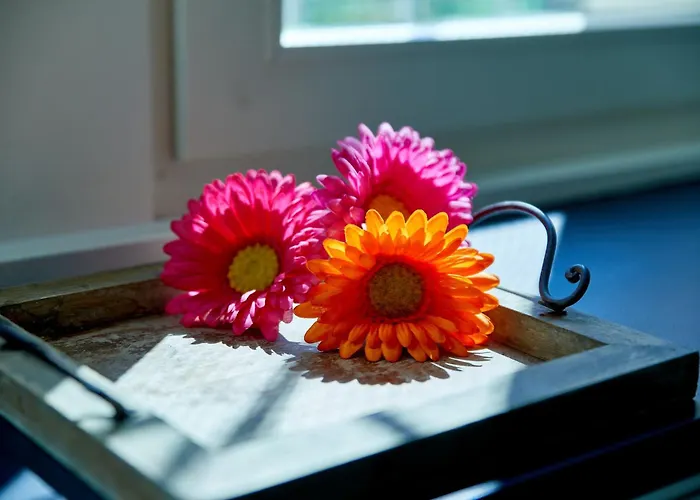 Am Gestade 2 アパート *