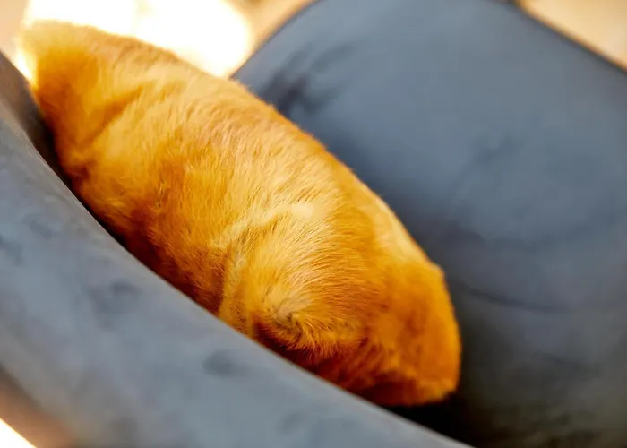 アパート Am Gestade 2