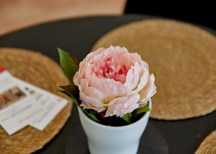 アパート Am Gestade 2 ベルンカステル・クース